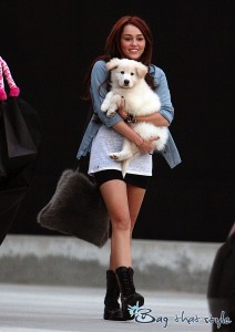 Miley Cyrus carries a fur messenger handbag. Photo from 